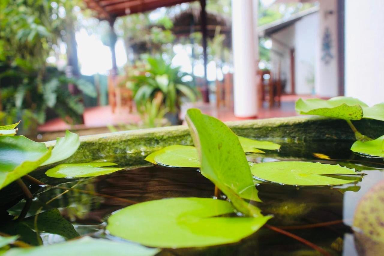 Sunrise Guest House & Restaurant Tangalle Luaran gambar
