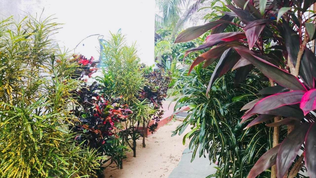 Sunrise Guest House & Restaurant Tangalle Luaran gambar