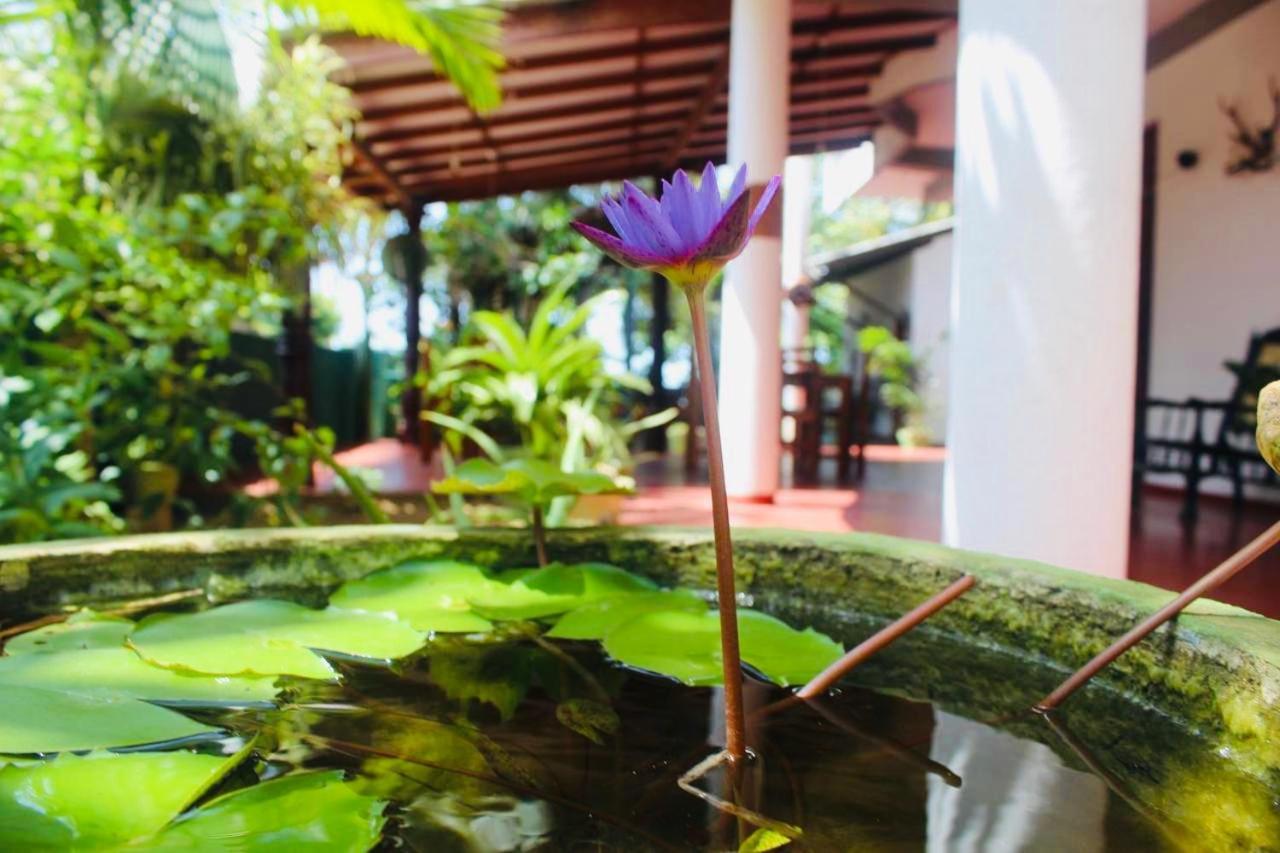 Sunrise Guest House & Restaurant Tangalle Luaran gambar
